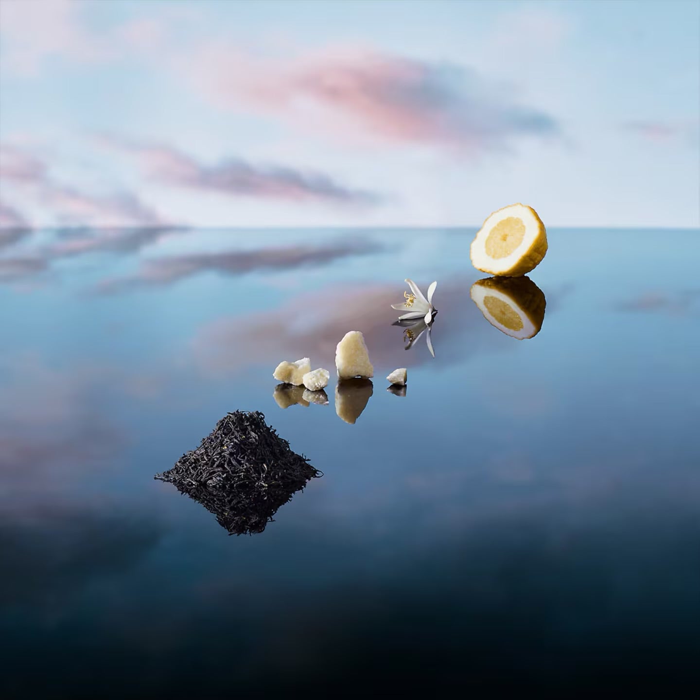 Louis Vuitton Imagination